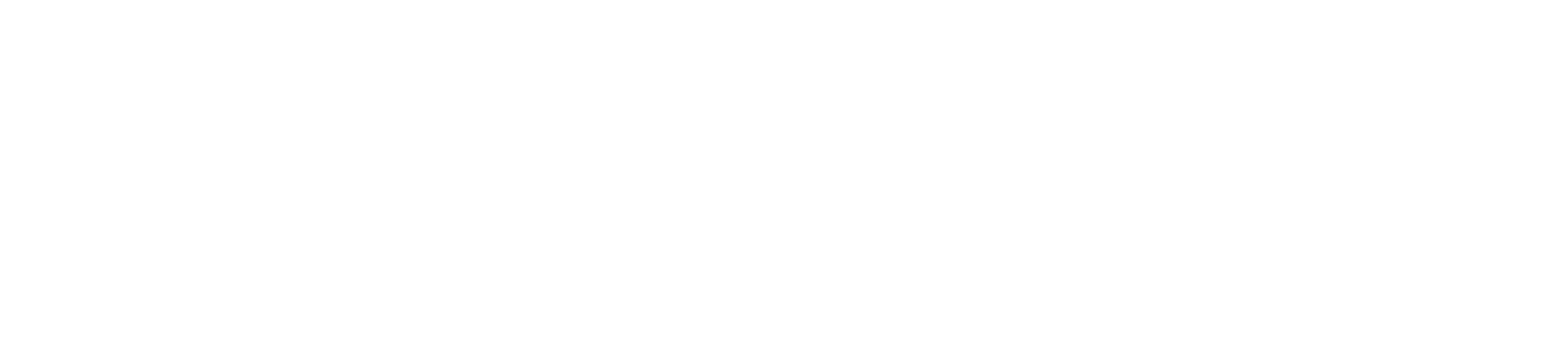 HT - Logo White